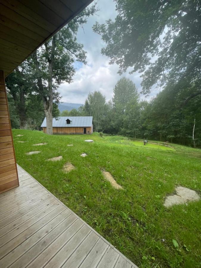 Apartament Apartman Pod Jasanem Hojsova Straz Brcalnik Železná Ruda Zewnętrze zdjęcie