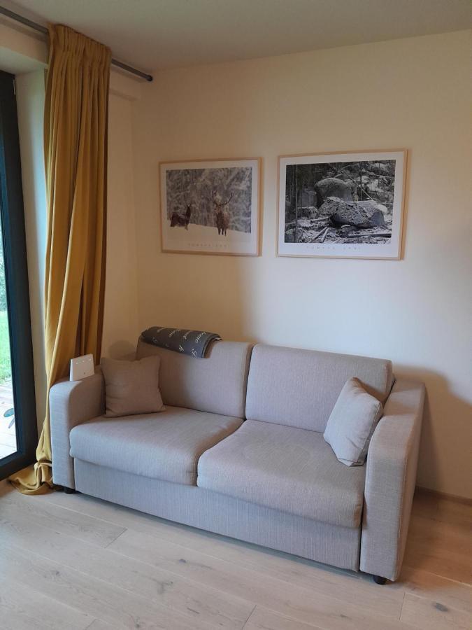 Apartament Apartman Pod Jasanem Hojsova Straz Brcalnik Železná Ruda Zewnętrze zdjęcie